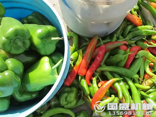 食品残渣压榨机 食品残渣压榨机