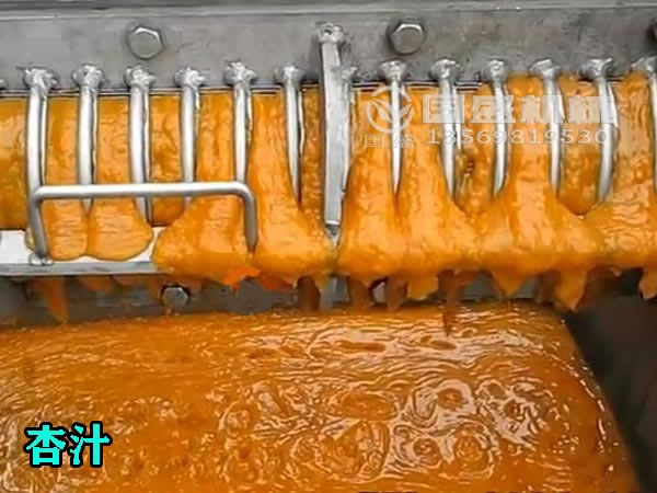 杏汁压榨机