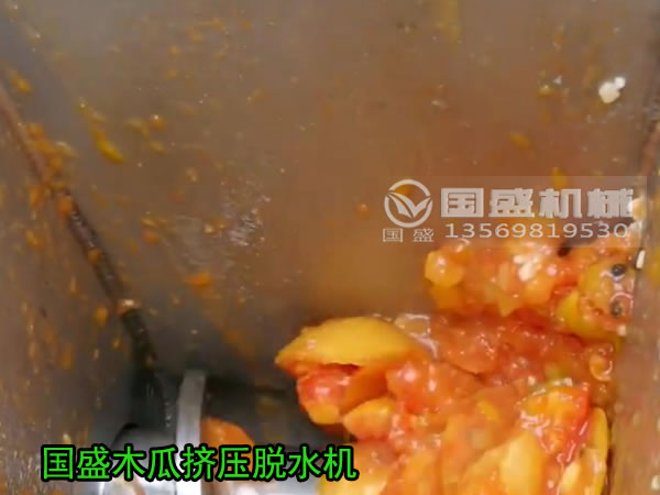 果汁压榨机 果汁压榨机